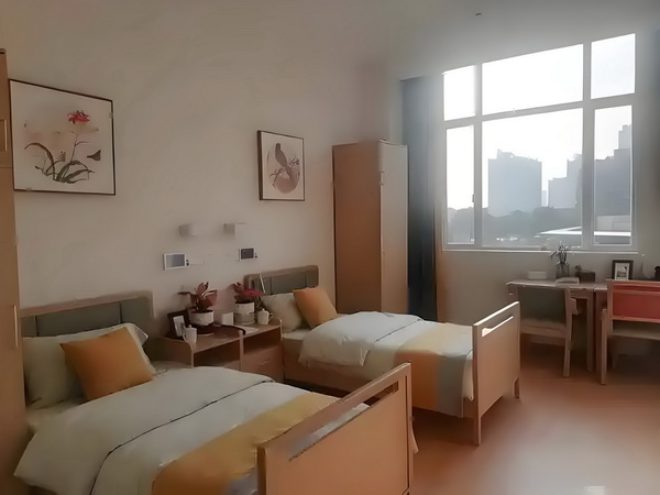 零界使徒